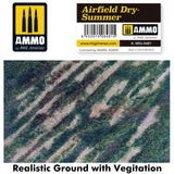 Airfield Dry-Summer - Realistic ground with vegetation | Ammo by Mig Jimenez | MIG8481