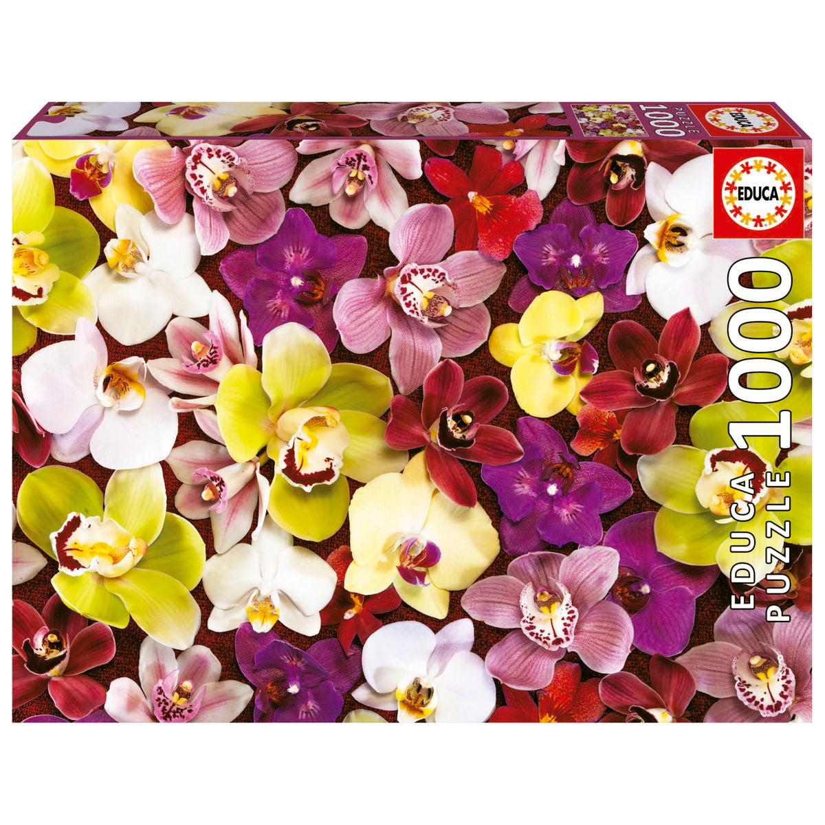 Orchid Collage 1000 Piece Jigsaw Puzzle | Educa | 19558