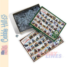 Load image into Gallery viewer, Railroads of America Cobble Hill puzzle 1000pc CH40232
