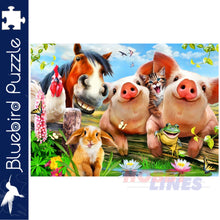 Load image into Gallery viewer, Bluebird PETTING FARM Howard Robinson 500pc Jigsaw Puzzle 70285
