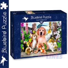 Load image into Gallery viewer, Bluebird GOOD COMPANIONS Howard Robinson 500pc Jigsaw Puzzle 70291
