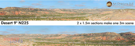 DESERT N225 N Gauge ID Backscenes Art printers Standard / Premium 9"