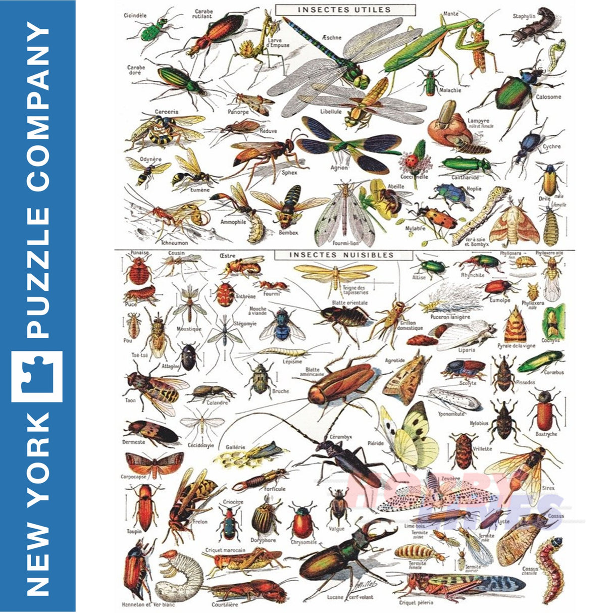 INSECTS New York Puzzle Company 1000pc Bugs Jigsaw NPZPD1832