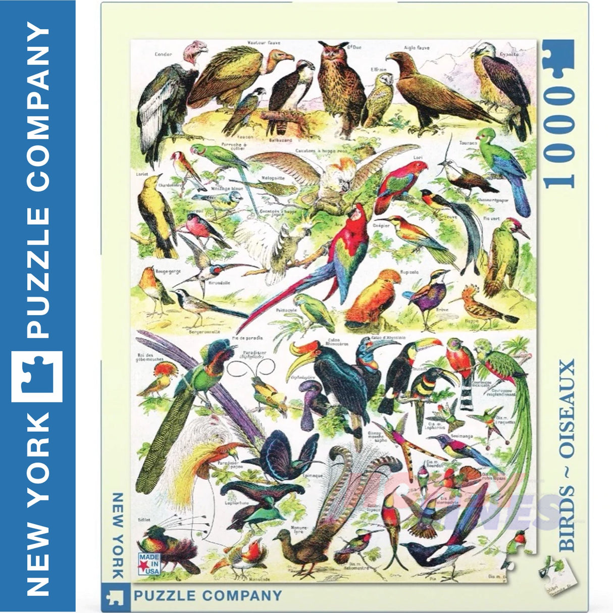 BIRDS ~ OISEAUX New York Puzzle Company 1000pc Jigsaw PD634