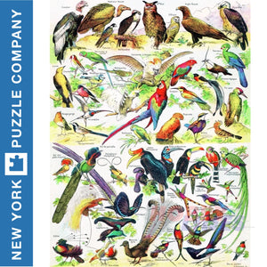 BIRDS ~ OISEAUX New York Puzzle Company 1000pc Jigsaw PD634