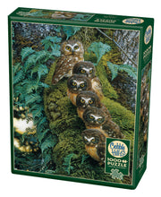 Load image into Gallery viewer, Cobble Hill Carl Brenders FAMILY TREE Owls1000pc Quality Jigsaw Puzzle 80018
