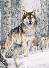 Load image into Gallery viewer, Cobble Hill Al Agnew SECOND GLANCE Wolves 1000pc Quality Jigsaw Puzzle 80019
