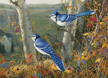 Load image into Gallery viewer, Cobble Hill Sam Timm BLUE JAYS Birds 1000pc Quality Jigsaw Puzzle 80021
