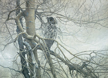 Load image into Gallery viewer, Cobble Hill Robert Bateman GHOST OF THE NORTH Owl 1000pc Jigsaw Puzzle 80037
