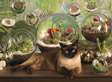 Load image into Gallery viewer, Cobble Hill Creations TERRARIUM CAT Quality 1000pc Jigsaw Puzzle 80049
