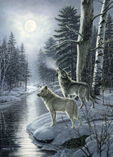 Load image into Gallery viewer, Cobble Hill James A Meger WOLVES BY MOONLIGHT 1000pc Jigsaw Puzzle 80108
