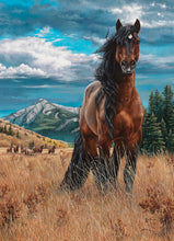 Load image into Gallery viewer, Cobble Hill Kim Penner FREEDOM Horse Quality 1000pc Jigsaw Puzzle 80109
