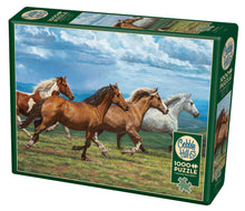 Load image into Gallery viewer, Cobble Hill Chris Cummings WINDSWEPT Horses Quality 1000pc Jigsaw Puzzle 80186
