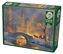 Load image into Gallery viewer, Cobble Hill Mark Keathley WINTER IN THE PARK 1000 piece Jigsaw Puzzle 80241
