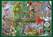 Load image into Gallery viewer, Cobble Hill R Christopher Vest BIRDS OF THE SEASON 1000pc Jigsaw Puzzle 80243
