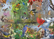 Load image into Gallery viewer, Cobble Hill R Christopher Vest BIRDS OF THE SEASON 1000pc Jigsaw Puzzle 80243
