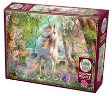 Load image into Gallery viewer, Cobble Hill David Penfound UNICORN AND FRIENDS 2000pc Jigsaw Puzzle 89016
